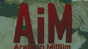 AiM Custom Server Banner