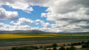 New Enfusion Project