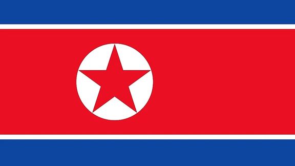 TFN_DPRK_2017