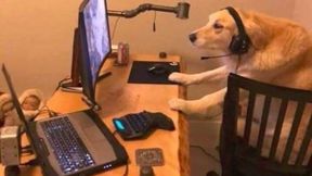 LowerSettingsConsole