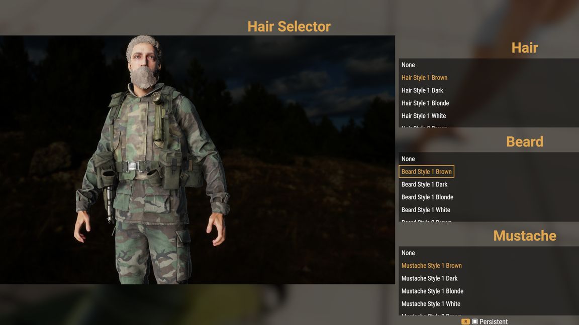 Hair & Beard Selector