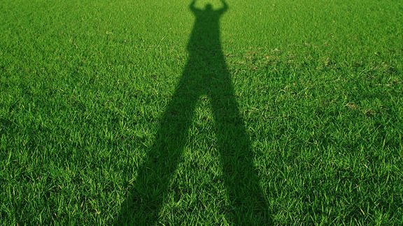 Force Grass & Distant Shadows