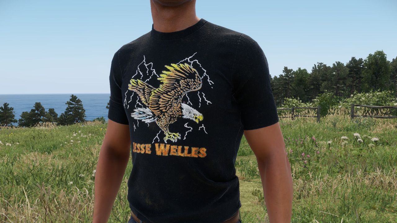 Jesse Welles T-Shirt preview