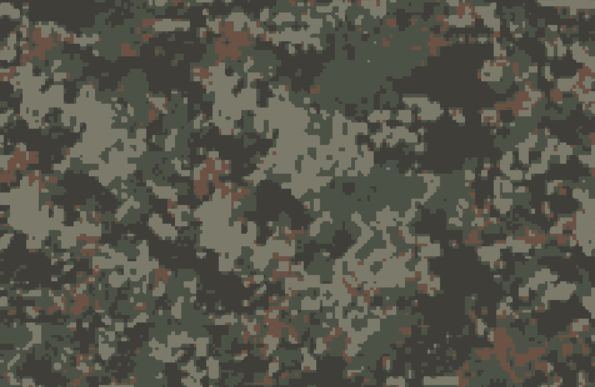 Chernarus Defence Forces. CDF