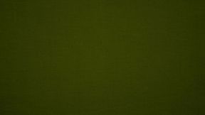 Webbing fix for pronto BK