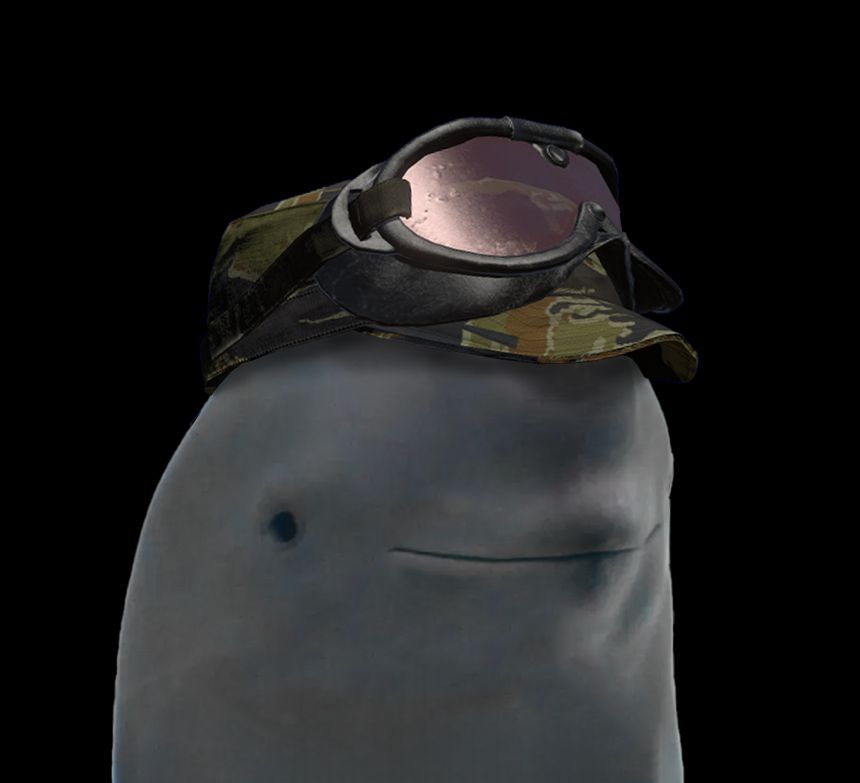 polys Hunting Equipment