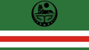 Chechen War Factions Test