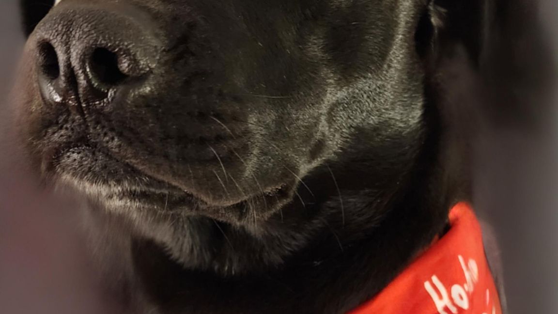 3rdRb Fix Medical MH60