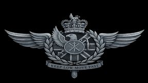 The Kings 1st infantry Banner