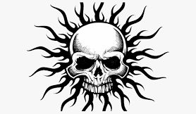 New Enfusion Project