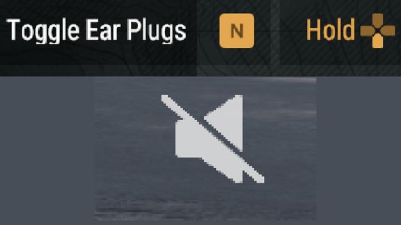 Ear Plugs