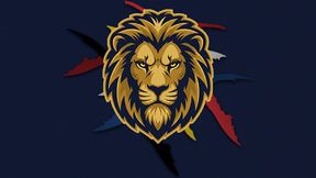 Delta Lions - Loading Screen