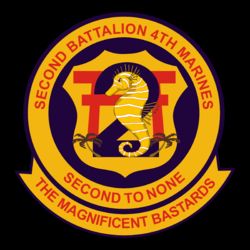 2ndBattalion4thMarines1stMDmod