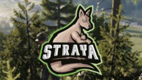 StrayaGaming Banner