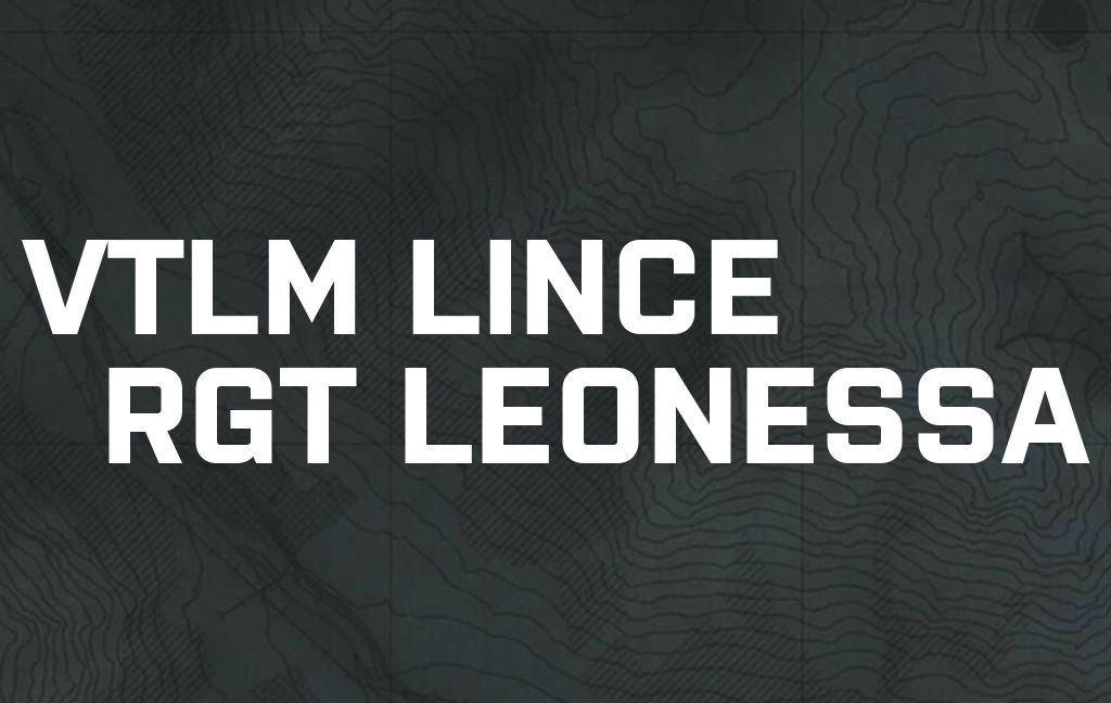 VTLM LINCE RGT LEONESSA