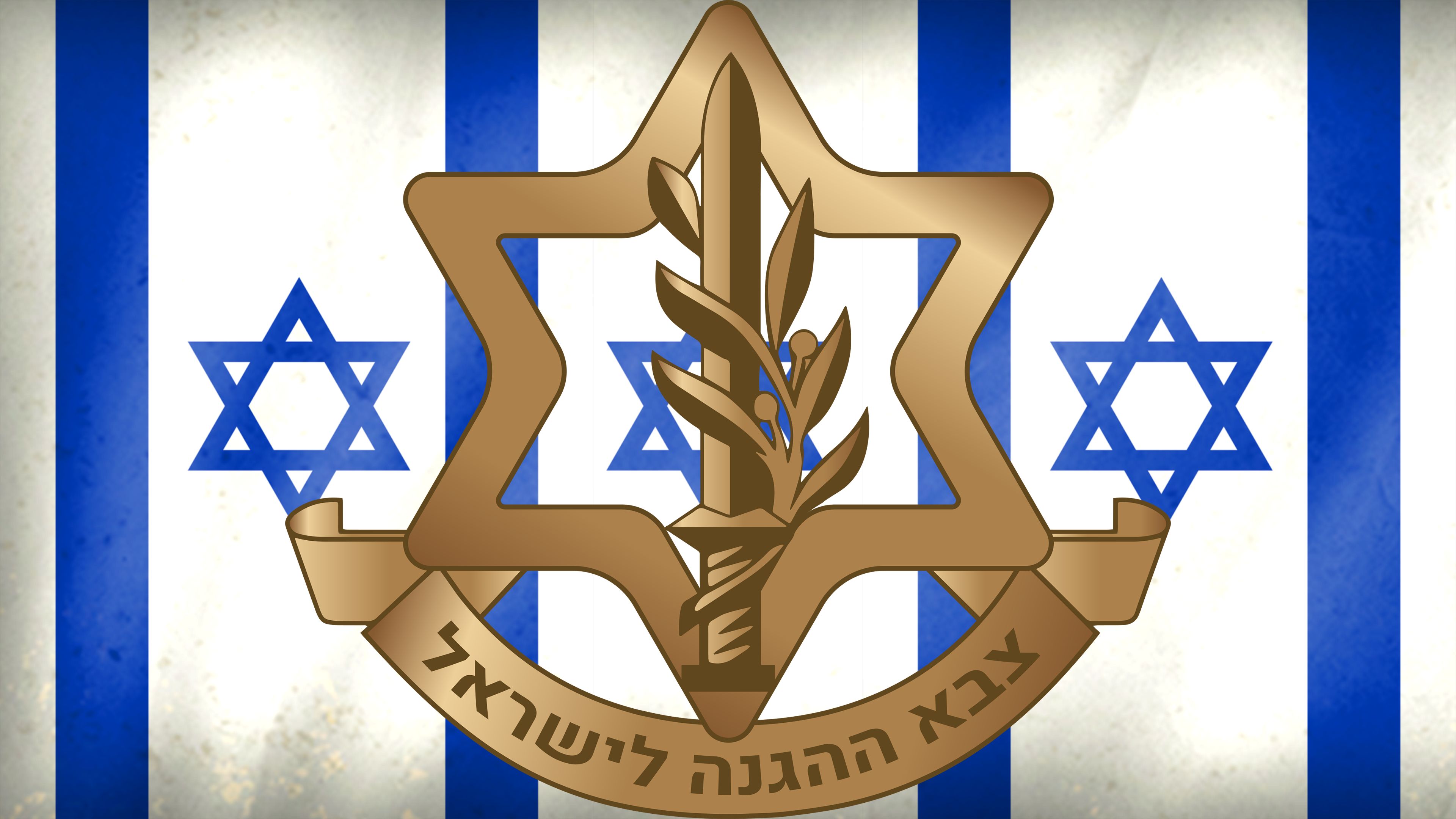 Israel Defense Forces