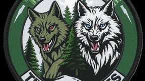 Task Force Timberwolf Patches