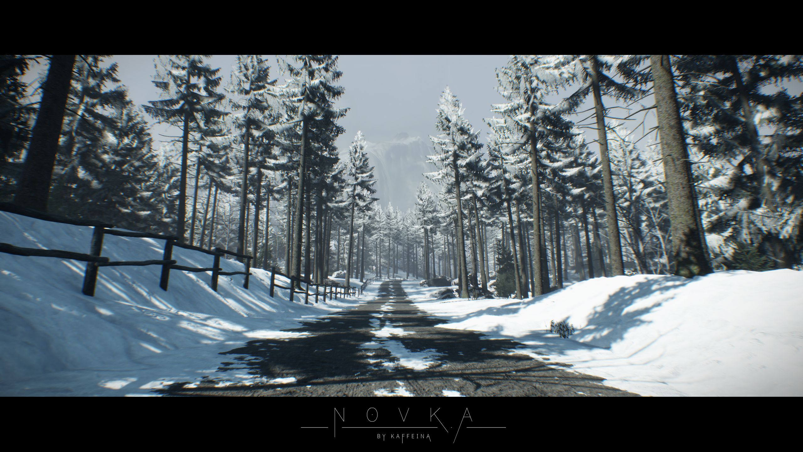 Novka Conflict