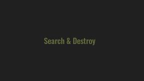 searchDestroy