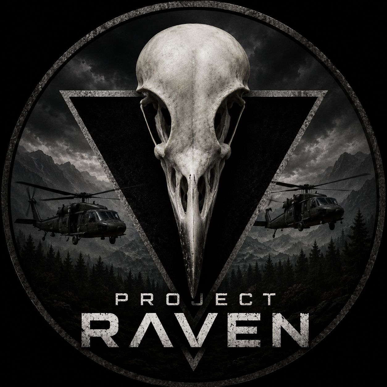 Project Raven Patches preview