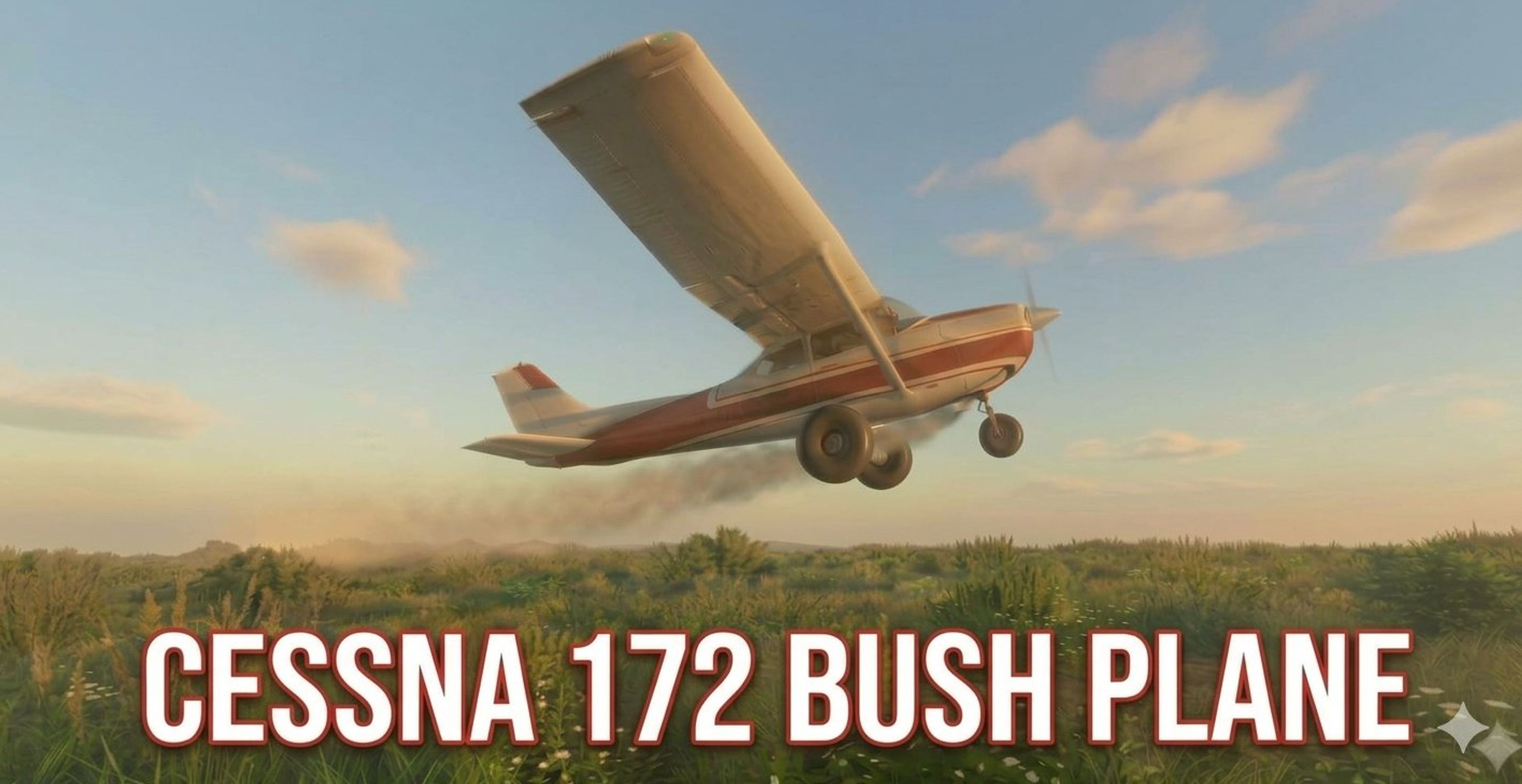 Vignette du mod Cessna 172 Bush Plane