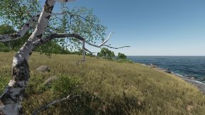 Little Popham Island