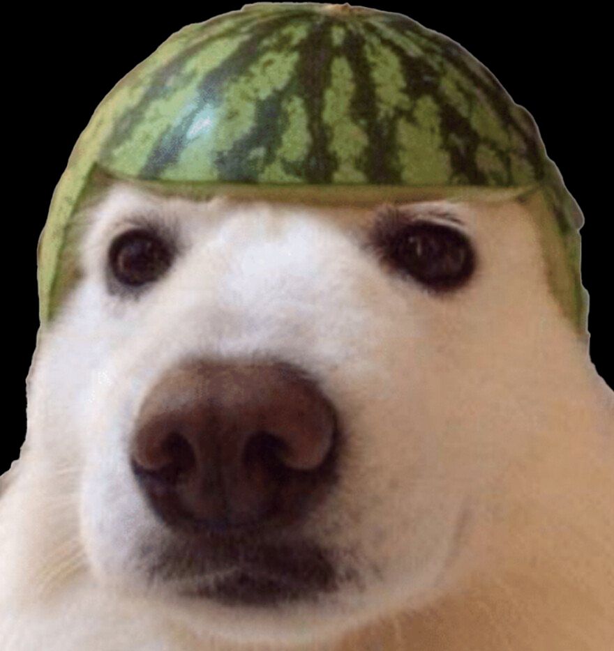 Target Rich Enviroment