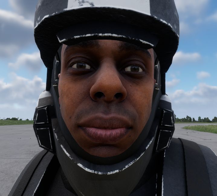 Battle Group Pheonix - ODSTWIP