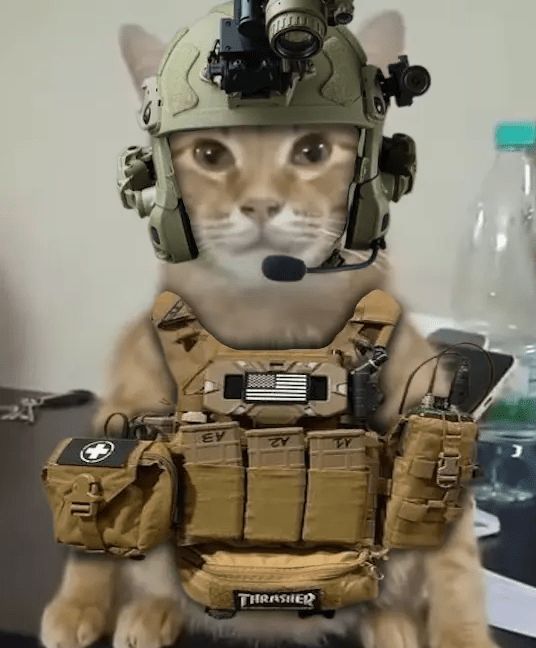 44TH Fallujah Setting