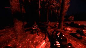 Multicolored NVG Mod