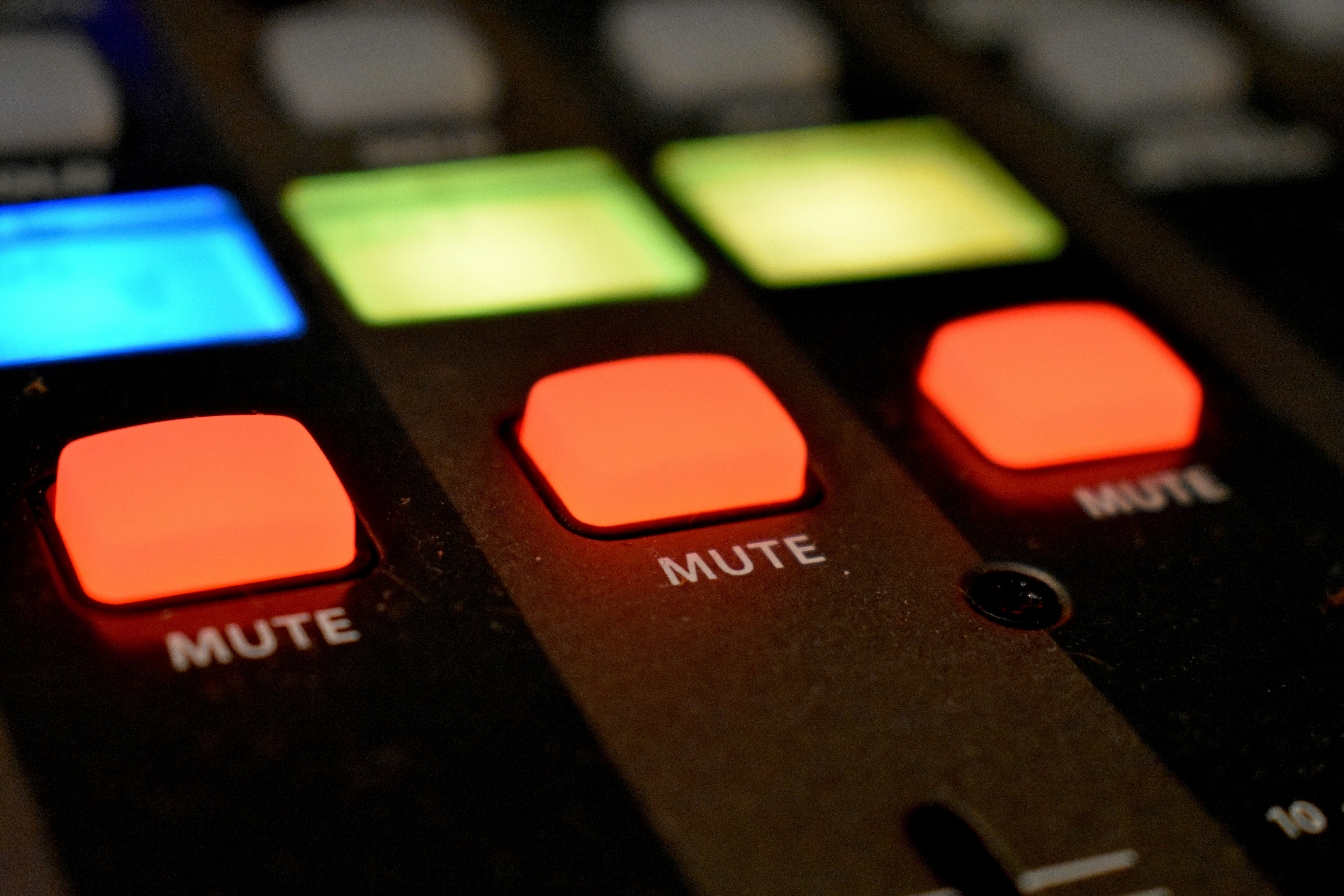 REA FastMuteVoiceChannel preview