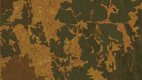 Operation Savanna Map Override