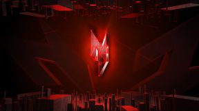 Back To The Rice Fields