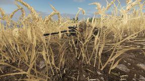 WookiesPlaygroundEXA