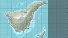 OperationSurviveForPaws