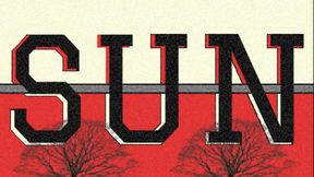 Sunshines Tree Destruction FIX