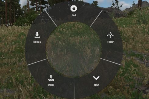 Silent Command Animations