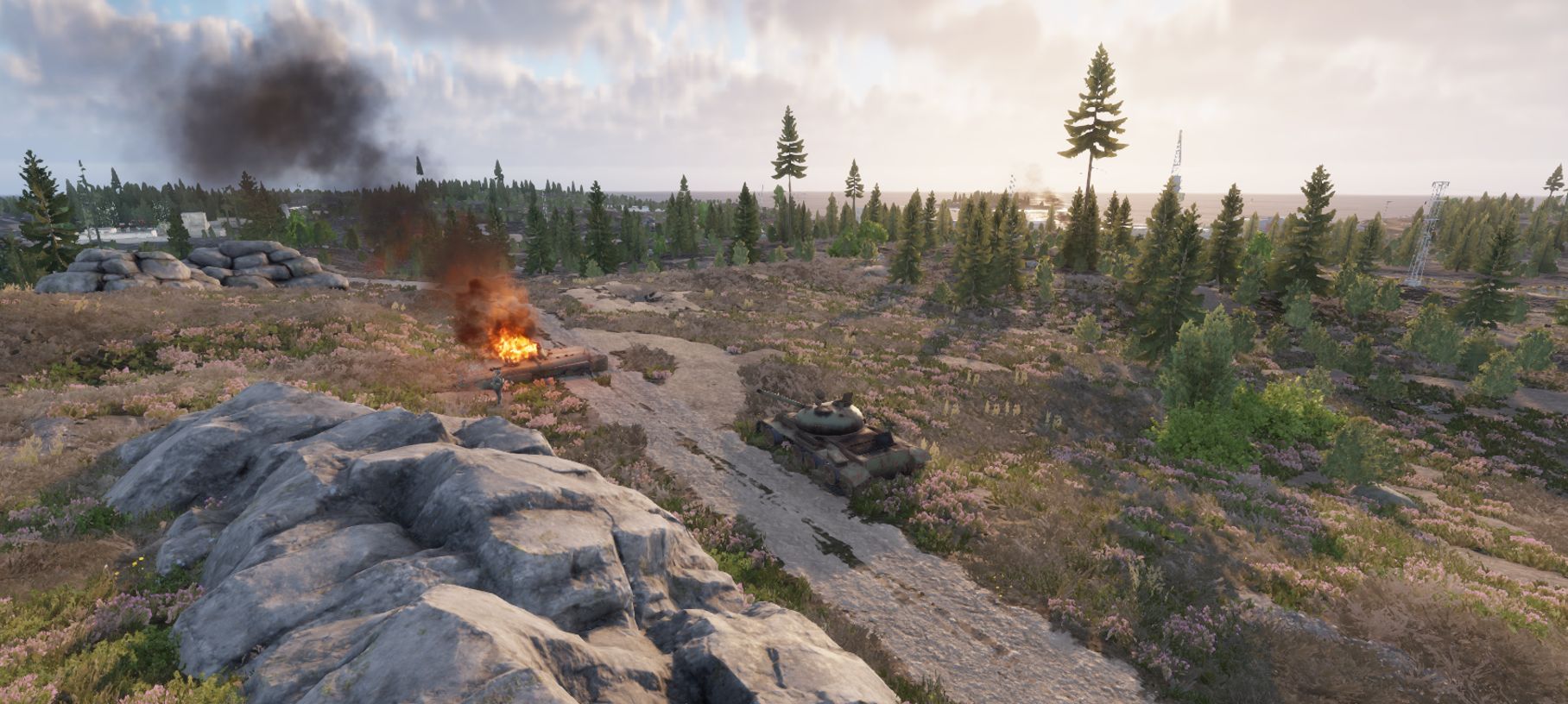 Bearland Conflict