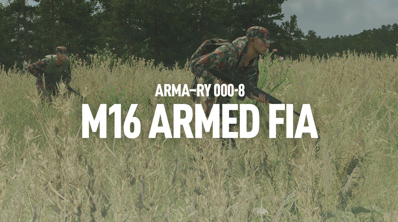 ARMA-RY M16 ARMED FIA