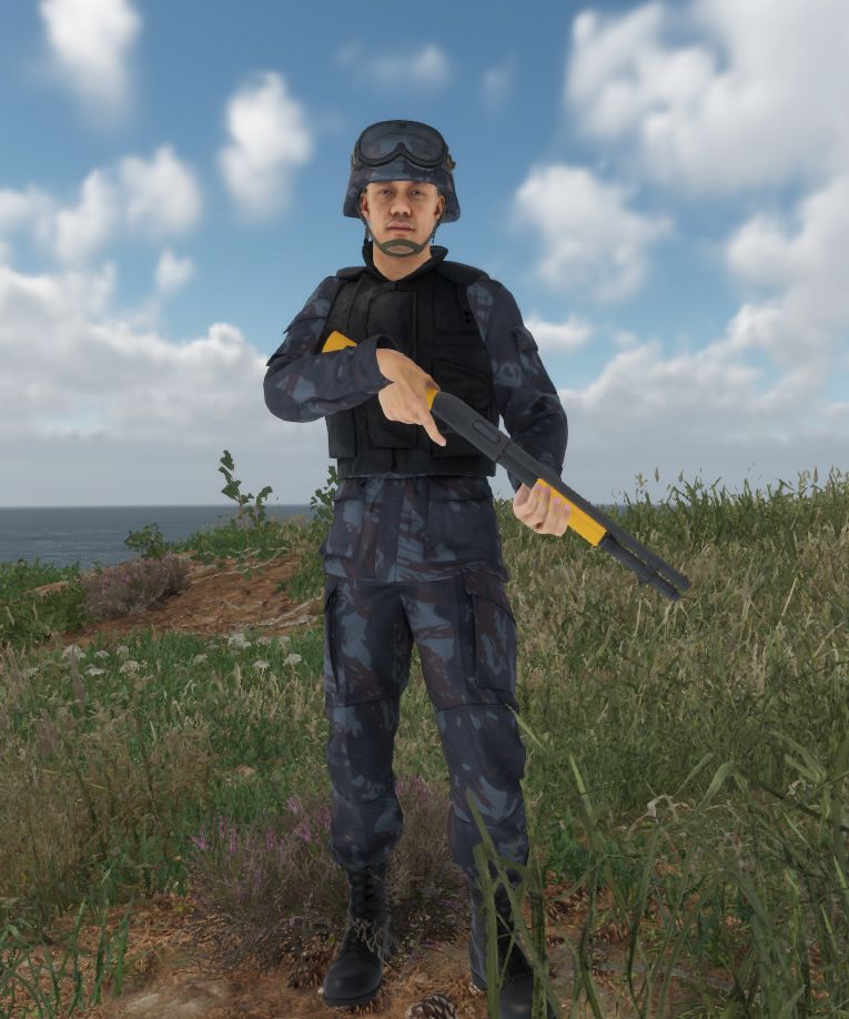 EDF Gendarmerie preview