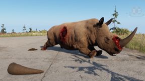 BUSHWAR Anti-Poaching