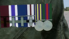 3CDO Medals