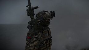 TF Sentinel Server Image