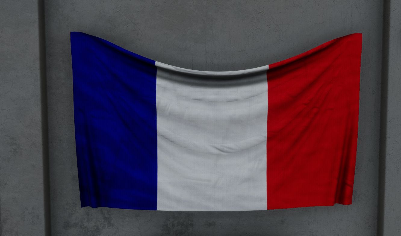 FRENCH WALL FLAG preview