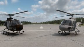 retexture Z11 en fenec francai