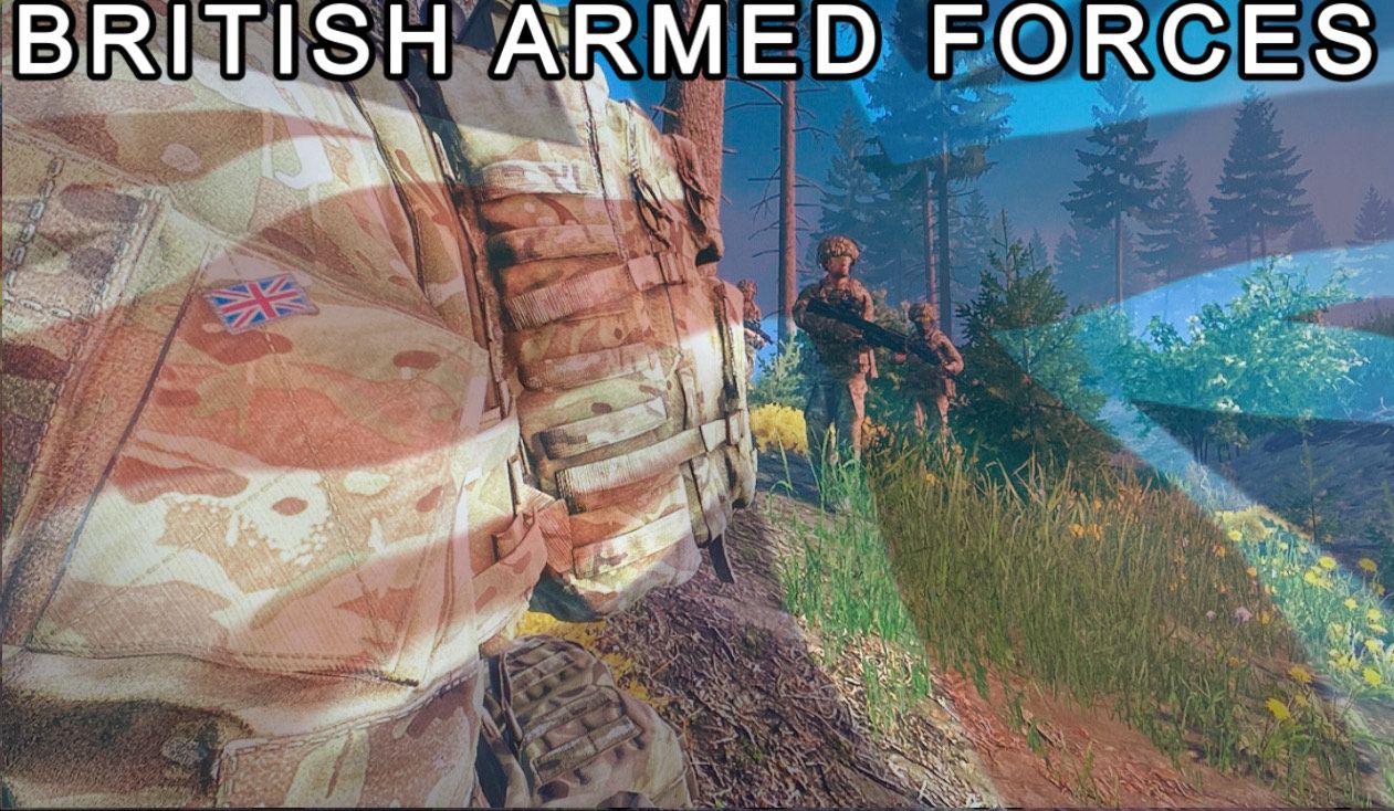 Modern British Armed Forces preview