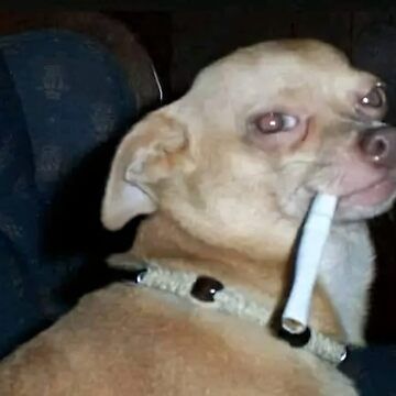 Modded Conflict Base