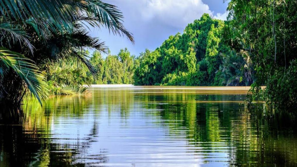 Kinabatangan Plantation