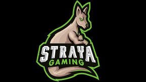 StrayaGaming Image Banner