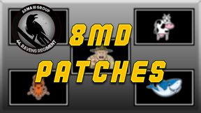 RR_custom_8md_patches